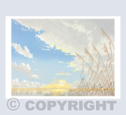 Avalon Marshes I