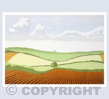 Summer Fields
