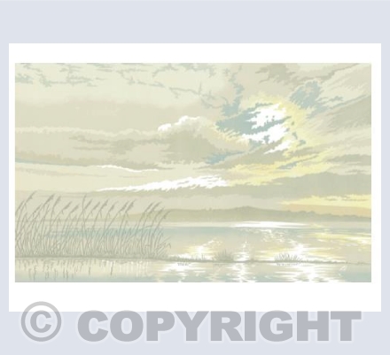 Gathering Light, River Exe