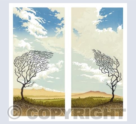 Across the Moor