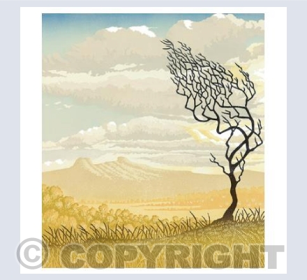 Distant Hills