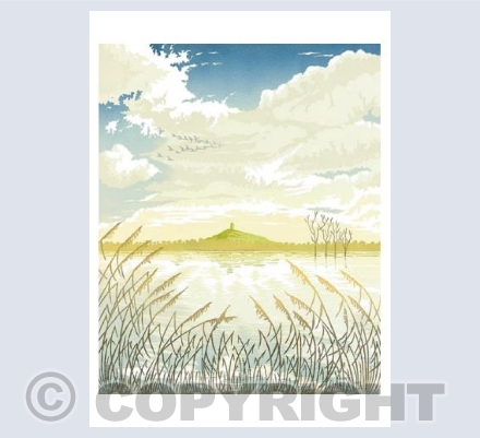 Across the Levels