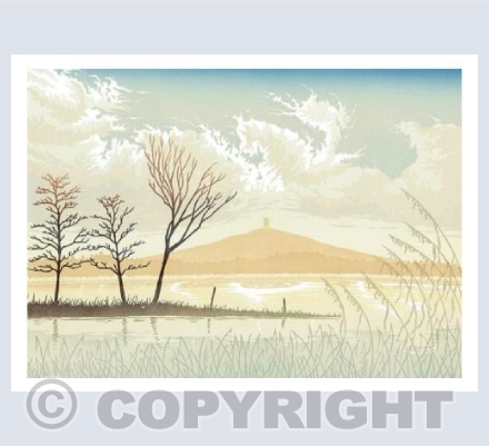 Winter on the Levels