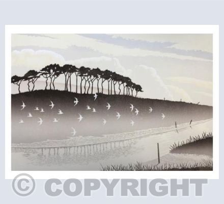 First Light - River Otter