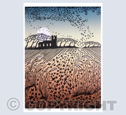 Field & Flock II
