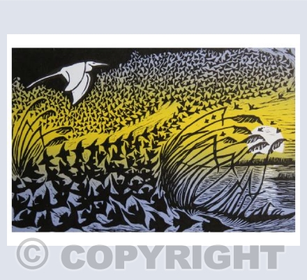 Murmuration II 