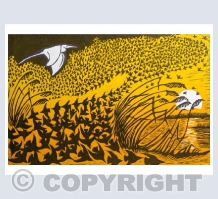 Murmuration 