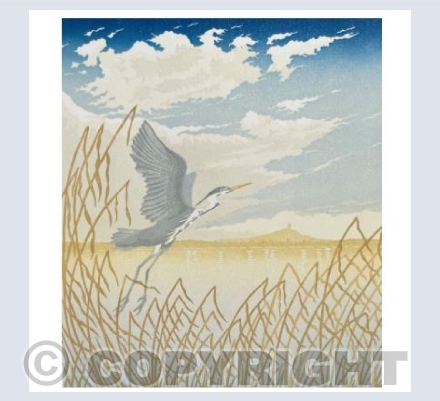 Heron