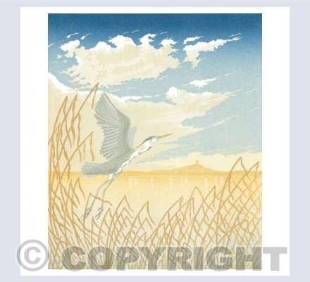 Heron