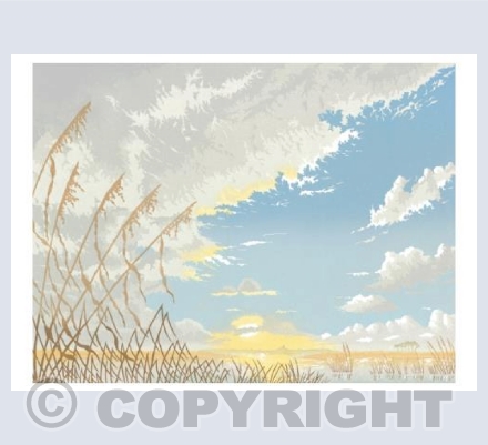 Avalon Marshes II