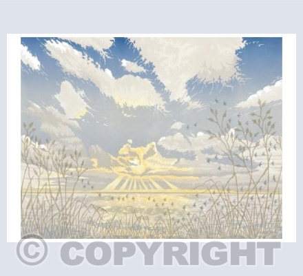 Coast Path Sunrise