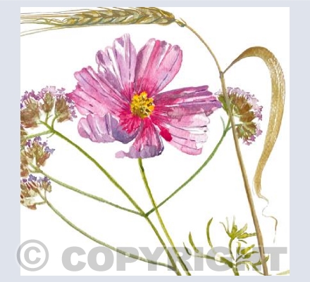 Furrow and Flowers