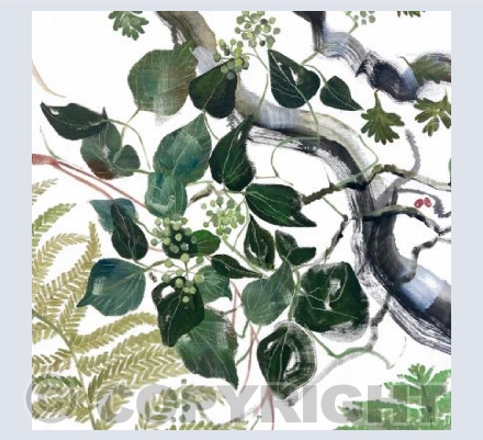 Winter Green Gifts