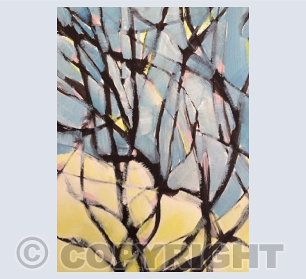 'Midwinter Sycamore, Cornwall'