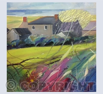 Bright Autumn, Carrallack Farm, Cornwall