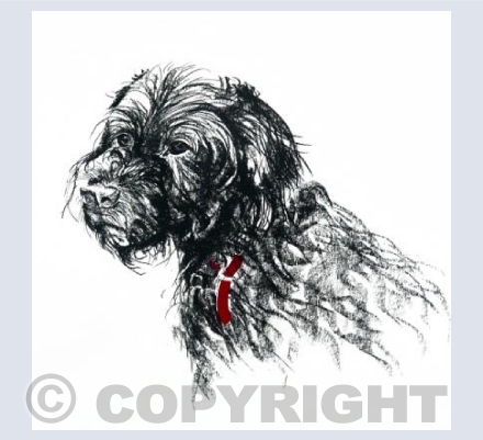 Woody Lionboy Herman