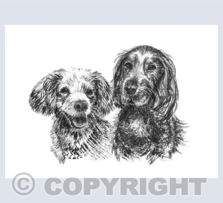 Tilly and Coco
