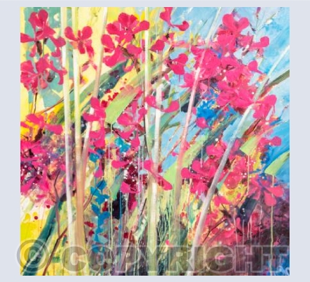 Pink Campion Power