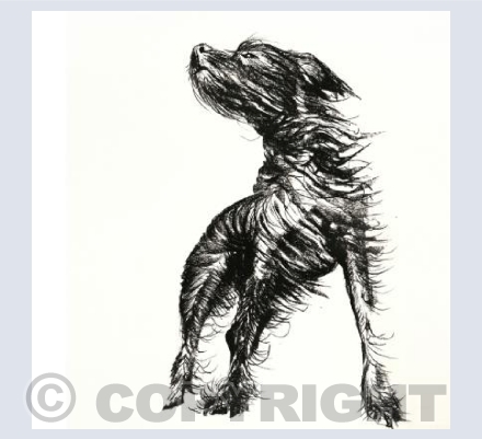 On The Wind