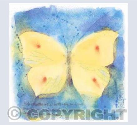Brimstone butterfly
