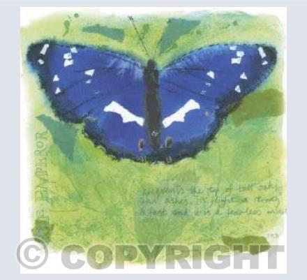 Purple Emperor butterfly