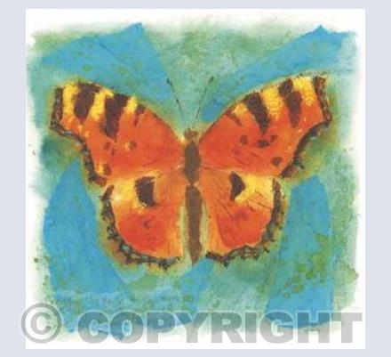 Red Admiral butterfly