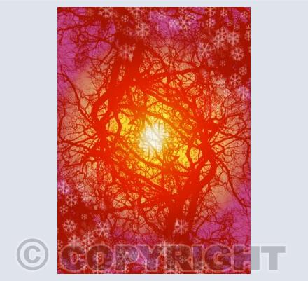Solstice Trees