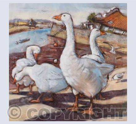 'Topsham geese'