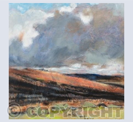 Dartmoor skies