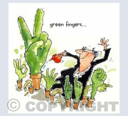 'Green fingers'