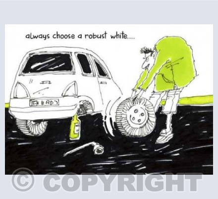 'Chose a robust white'