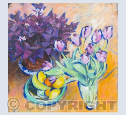 'Oxalis'