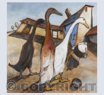 Indian runner ducks