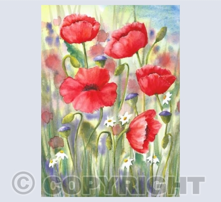 Flower Meadow