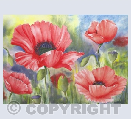 Meadow Flowers