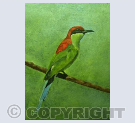 The Bee Eater