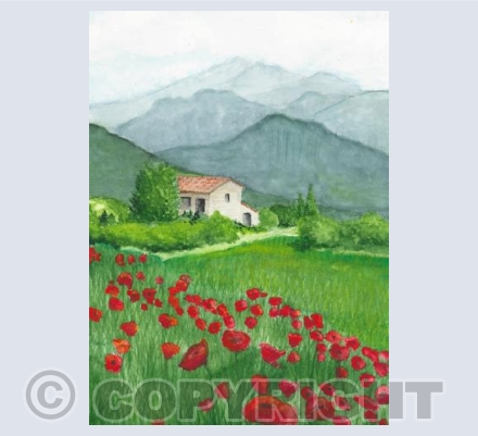 Poppy Vista