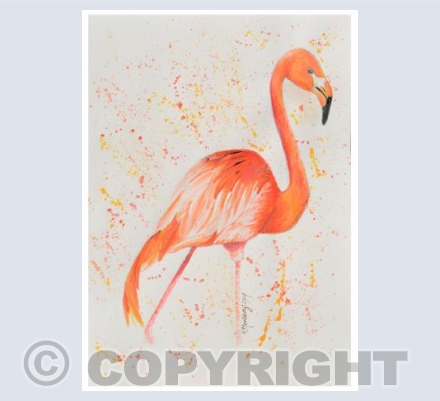 Flamingo Splash