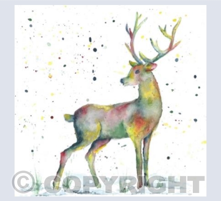 Oh Deer 2