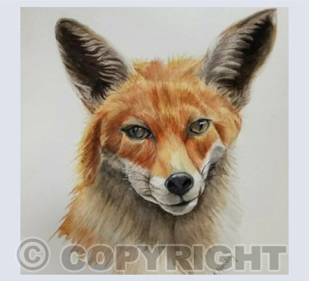 Mr Fox