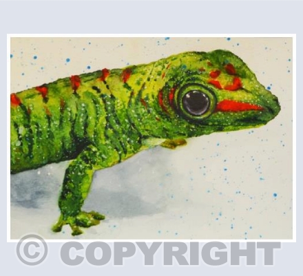 Gecko
