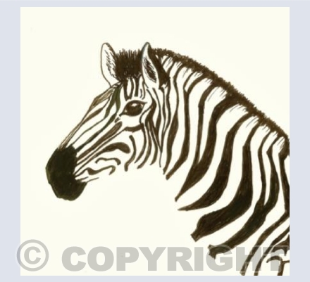 Mr Stripes