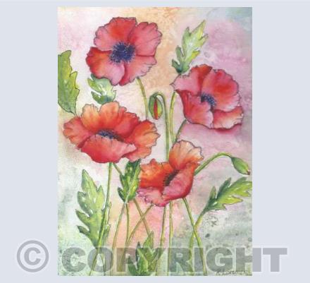 Poppies at Dawn