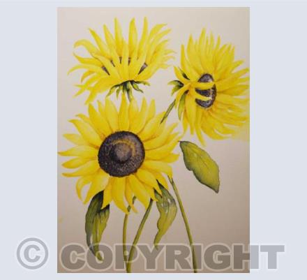 Sunflowers