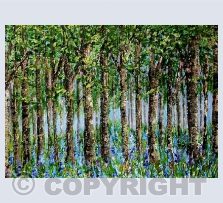 Bluebell Spring