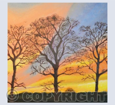 Winter Sunset