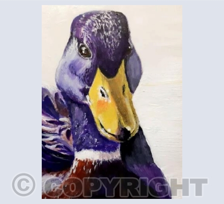 Sitting Duck