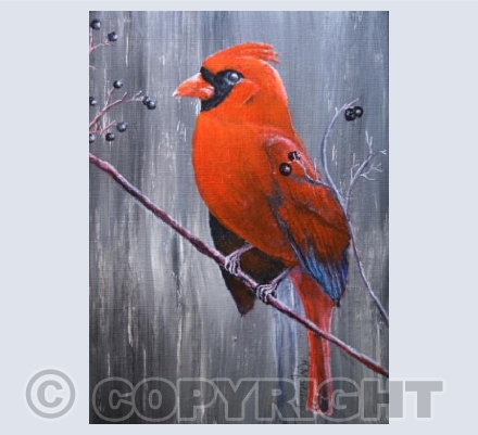 Red Cardinal 