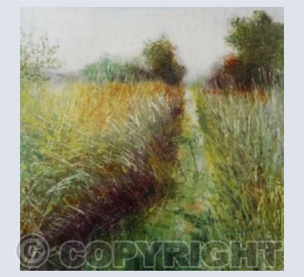 early autumn walk 