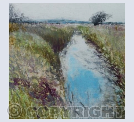 Reeds And light